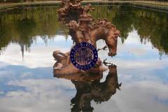 reflejos-30X40-Charo-la-granja