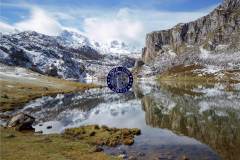 reflejos-60x50-Ana