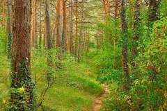 paisajes-12