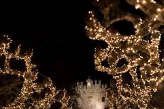 Navidad-2019-6