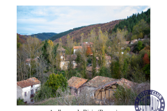 Avellanosa