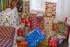 David-Navidad