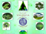 24 03 Verde