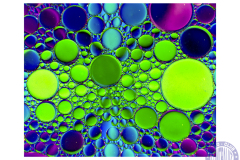 verde-1-2