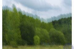 verde-10