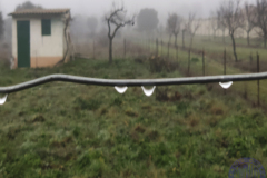 verde-3
