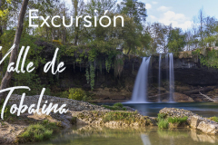 blogTobalina