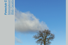 Cartel-web-minimalismo