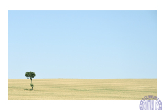minimalismo-12