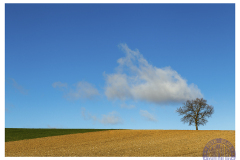 minimalismo-2