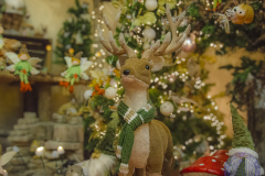 Sandra_reno_Navidad24