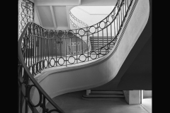 Exposicion-Blanco-Negro-final-1