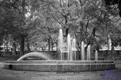 Exposicion-Blanco-Negro-final-4