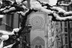 Exposicion-Blanco-Negro-final-5