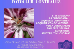Exposición HUBU Fotoclub Contraluz  - 55