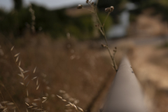 50x60-Eduardo-Cruz-BARANDILLA-INFINITA-2principal25