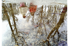 Diseño sin título - 1