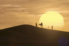 70x50_campoy_-Beduinos-en-puesta-de-sol_realizada-en-el-desierto_DUNAR-DE-ERG-CHEBBI_-Sahara-de-Marruecosprincipal25