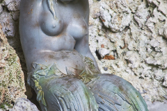 70x50_guinea_Entre-sirenasprincipal25