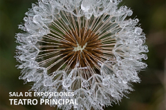 Cartel_pequeno_principal25