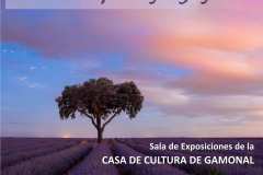 Presentación de PowerPoint