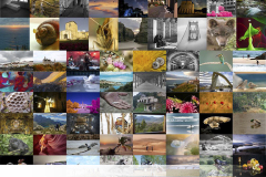 CARTEL PRINCIPAL 2026.cdr