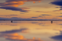 50x60_Fran-Arribas_-Casi-un-Espejo-Delta-del-Ebrotprincipal26