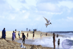 70x50_Angeles-Cabezas-Caviedes_Algo-de-felicidad-IItprincipal26