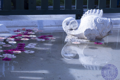 70x50_Mari-Cruz-Rodriguez-Garcia_FUENTEtprincipal26