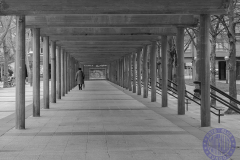 70x50_Miguel-Angel-Jimenez_Hacia-donde-vamostprincipal26