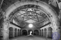 70x50_david_arcostprincipal26