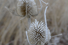 40x50_Angeles-C._Bajo-cero-2bajocero