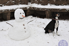 50X40_maricruz_valo-bajo-cero_1bajocero