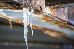 50x40_Cristina-Duran-Apariciobajocero