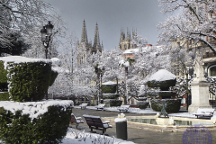 50x40_conchibajocero