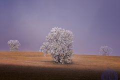 WhatsApp-Image-2026-03-01-at-21.04bajocero