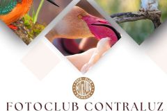 Cartel Exposición Aula Medio Ambiente 2026