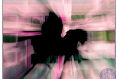 Renedo_DSC9494_ICM-50x402IMC